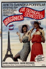 Crazy Swedish Holidays in Paris 1980 on netflix