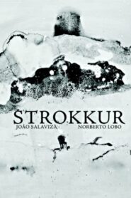 Strokkur 2011 on netflix