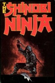 The Shinobi Ninja 1981 on netflix