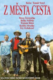 Z města cesta 2002 on netflix