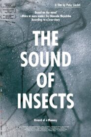 The Sound of Insects: Record of a Mummy 2009 on netflix