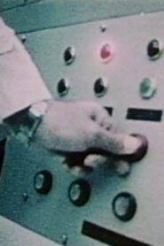 Myth in the Electric Age 1981 on netflix