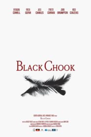 Black Chook 2015 on netflix