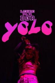 YOLO 2013 on netflix