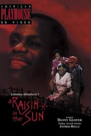A Raisin in the Sun 1989 on netflix