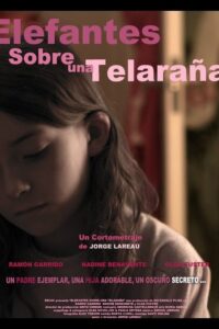Elephants on a Cobweb 2011 on netflix