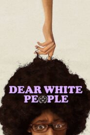 Dear White People 2014 on netflix