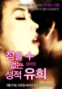 Sexual Play 2013 on netflix