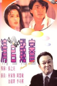 Family Affairs 1994 on netflix