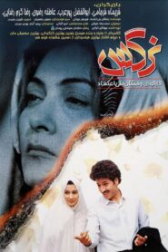 Nargess 1992 on netflix