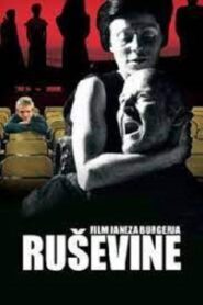 Ruins 2005 on netflix
