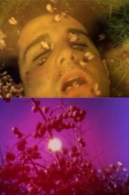 Aurore 1989 on netflix