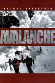 Nature Unleashed: Avalanche 2004 on netflix