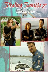 Stealing Sunrise 2: Malibu Trail 2017 on netflix