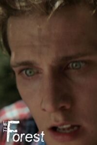 The Forest 2013 on netflix
