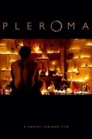 Pleroma 2013 on netflix
