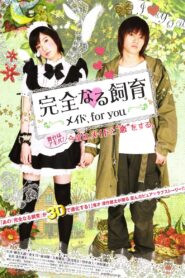 Perfect Education: A Maid for You 2010 on netflix