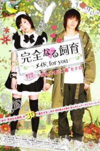 Perfect Education: A Maid for You 2010 on netflix