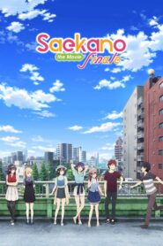 Saekano the Movie: Finale 2019 on netflix