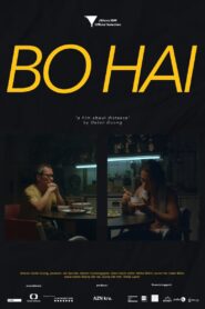 Bo Hai 2017 on netflix