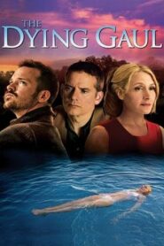 The Dying Gaul 2005 on netflix