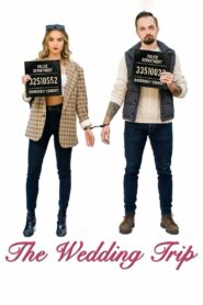 The Wedding Trip 2021 on netflix