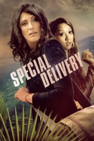 Special Delivery 2008 on netflix