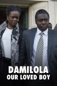 Damilola, Our Loved Boy 2016 on netflix