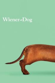 Wiener-Dog 2016 on netflix