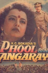 Phool Bane Angaray 1991 on netflix