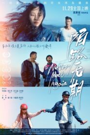 Never Meet Again 2024 on netflix