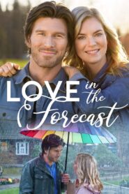 Love in the Forecast 2020 on netflix