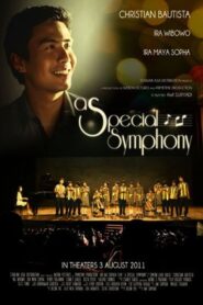 An Extraordinary Symphony 2011 on netflix