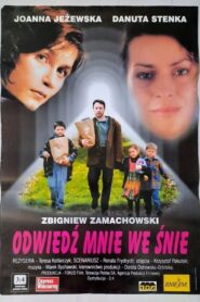 Odwiedź mnie we śnie 1997 on netflix