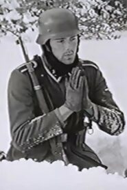 The Snow Field 1996 on netflix