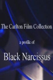 A Profile of ‘Black Narcissus’ 2000 on netflix