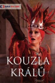 Kouzla králů 2008 on netflix