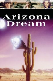 Arizona Dream 1993 on netflix