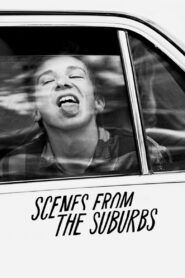 Scenes from the Suburbs 2011 on netflix