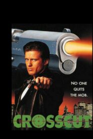 Crosscut 1995 on netflix