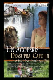A Roof Overhead 2006 on netflix