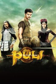 Puli 2015 on netflix