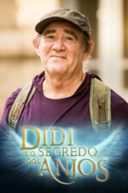 Didi e o Segredo dos Anjos 2014 on netflix