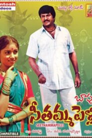 Seethamma Pelli 1984 on netflix