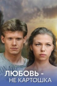 Любовь – не картошка 2013 on netflix
