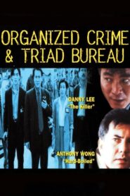 Organized Crime & Triad Bureau 1994 on netflix