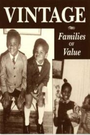 Vintage: Families of Value 1995 on netflix