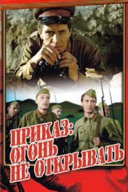 The Order: Do Not Open Fire 1981 on netflix