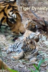 Tiger Dynasty 2012 on netflix