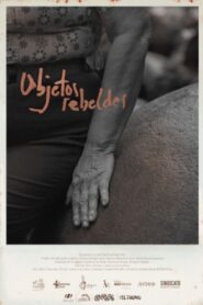 Rebel Objects 2020 on netflix